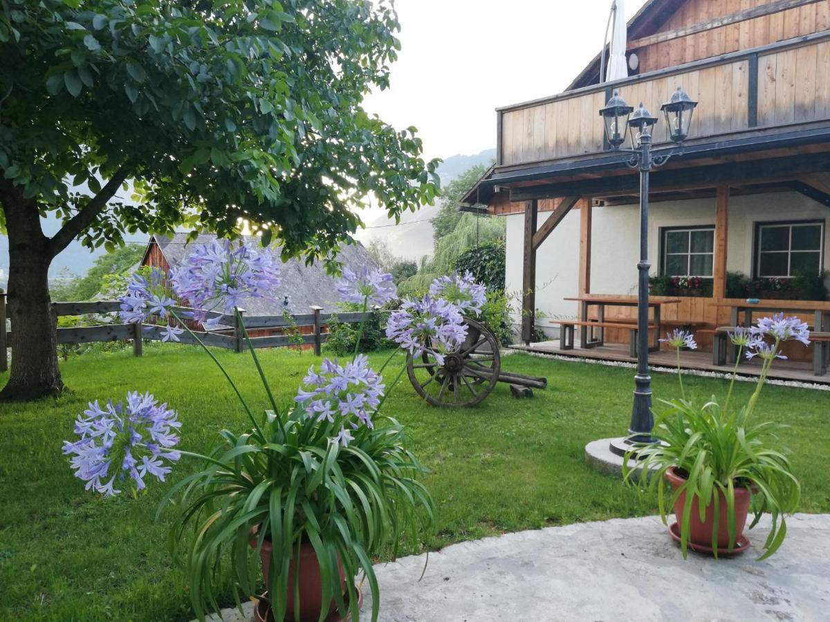 Bed and Breakfast Ortnerhof Ennstal à Aigen im Ennstal Extérieur photo